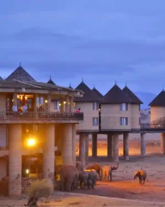 Taita Hills Sanctuary